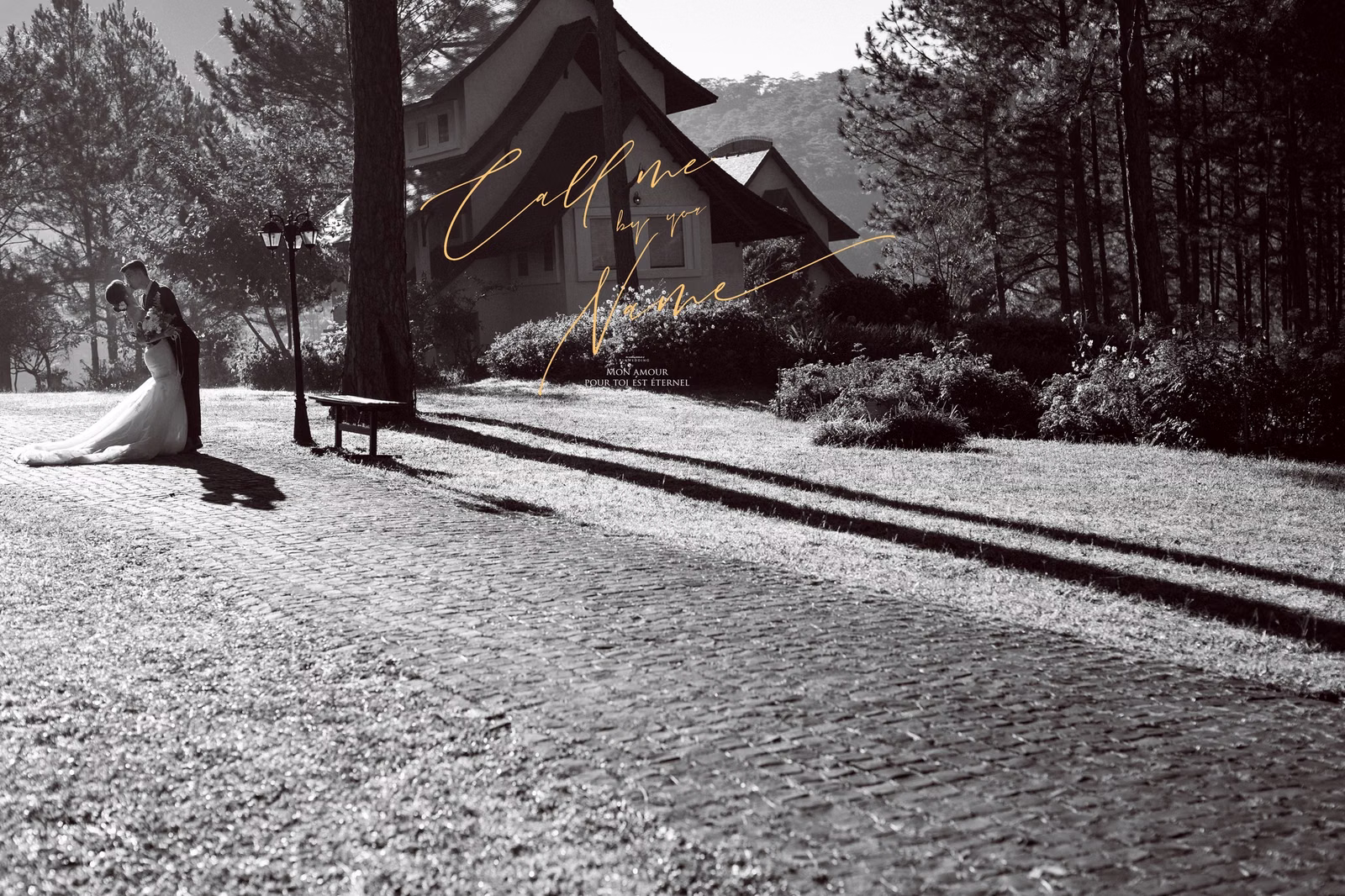 A pitched-roof villa and pine trees in a black-and-white wedding photograph.