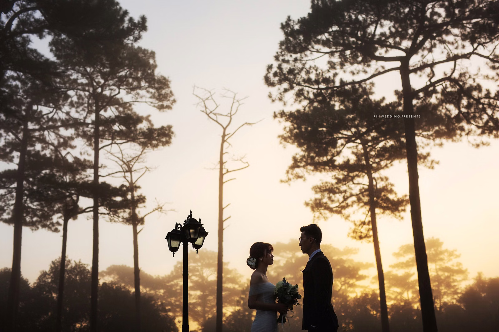 The bride and groom stand among pine trees at dawn.