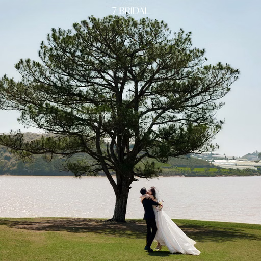 A couple embracing beneath the lakeside solitary pine at Cây Thông Cô Đơn, Đà Lạt