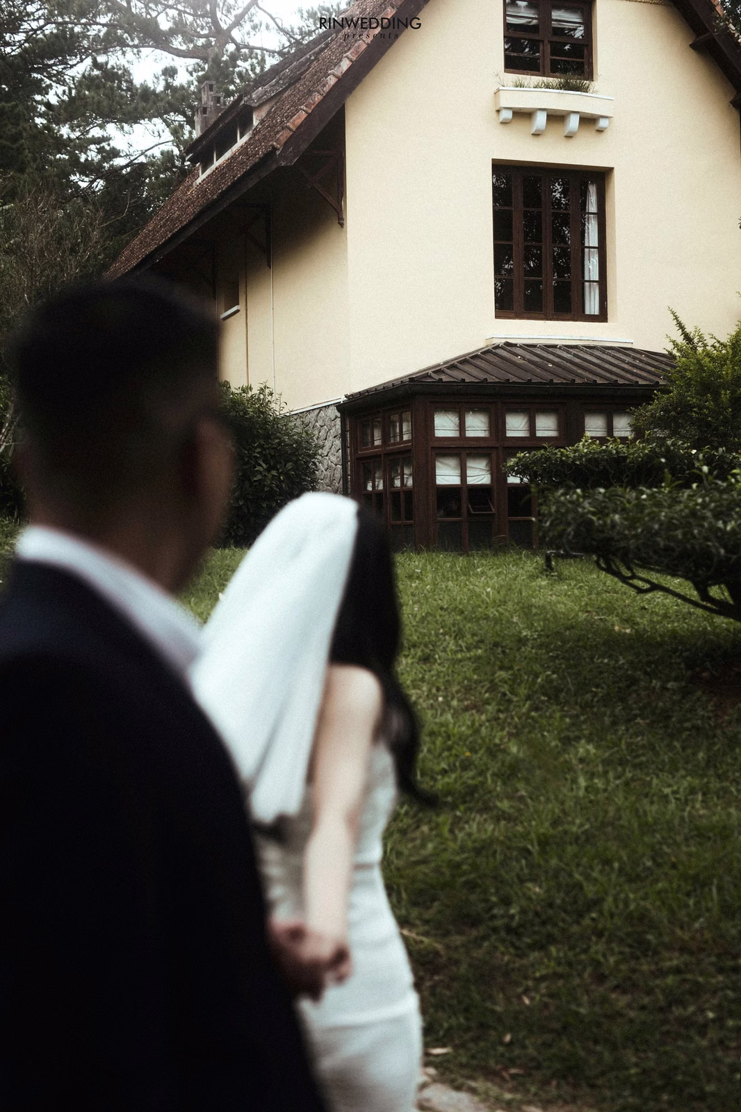 A groom looks at the bride through her veil in a garden.