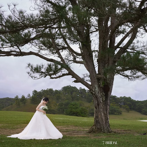 The bride and groom stretch out their arms on either side of the lakeside pine at Cây Thông Cô Đơn, Đà Lạt