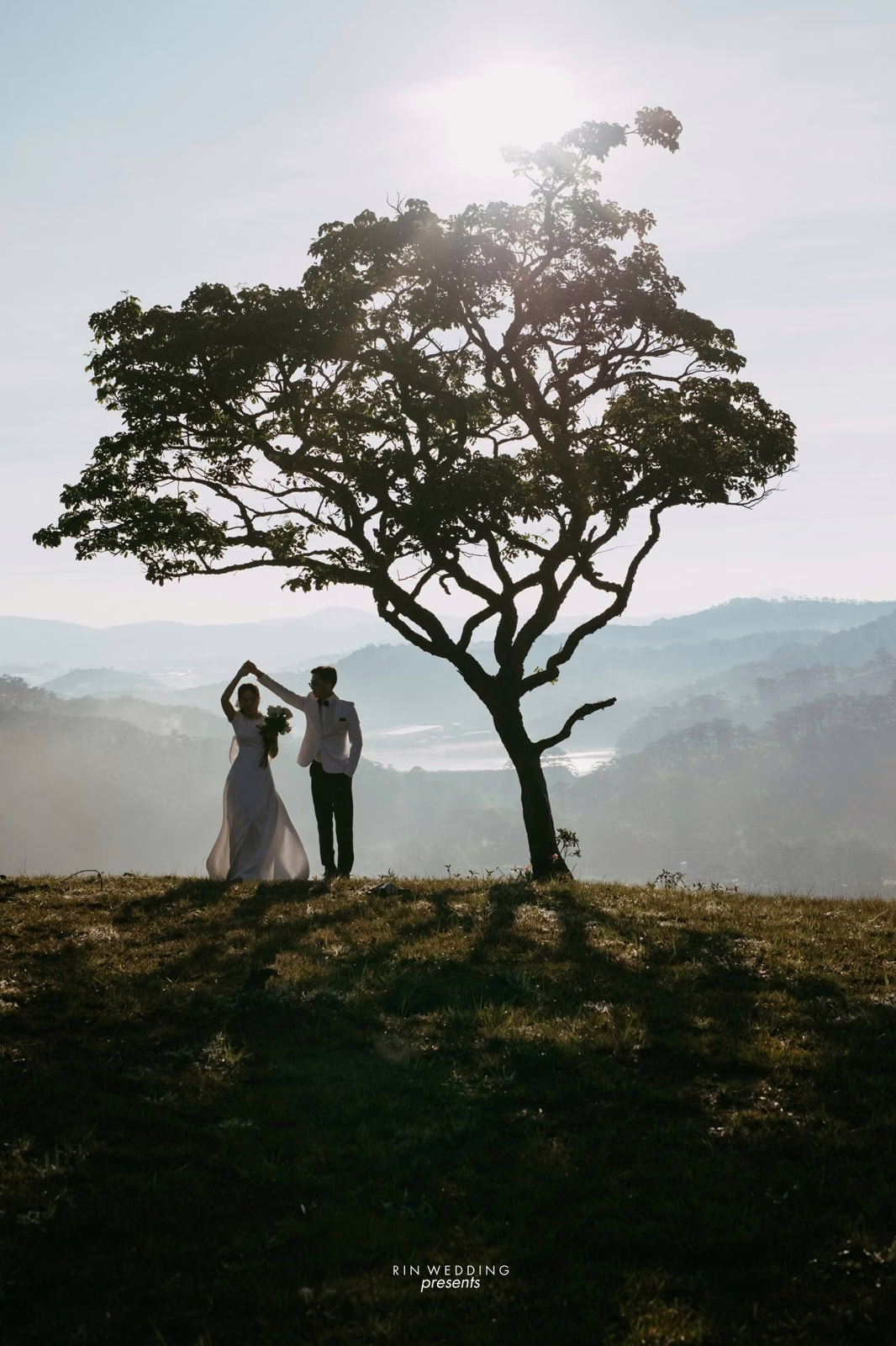 A couple holding their joined hands high beneath a hilltop tree at Đồi Thông Đà Lạt