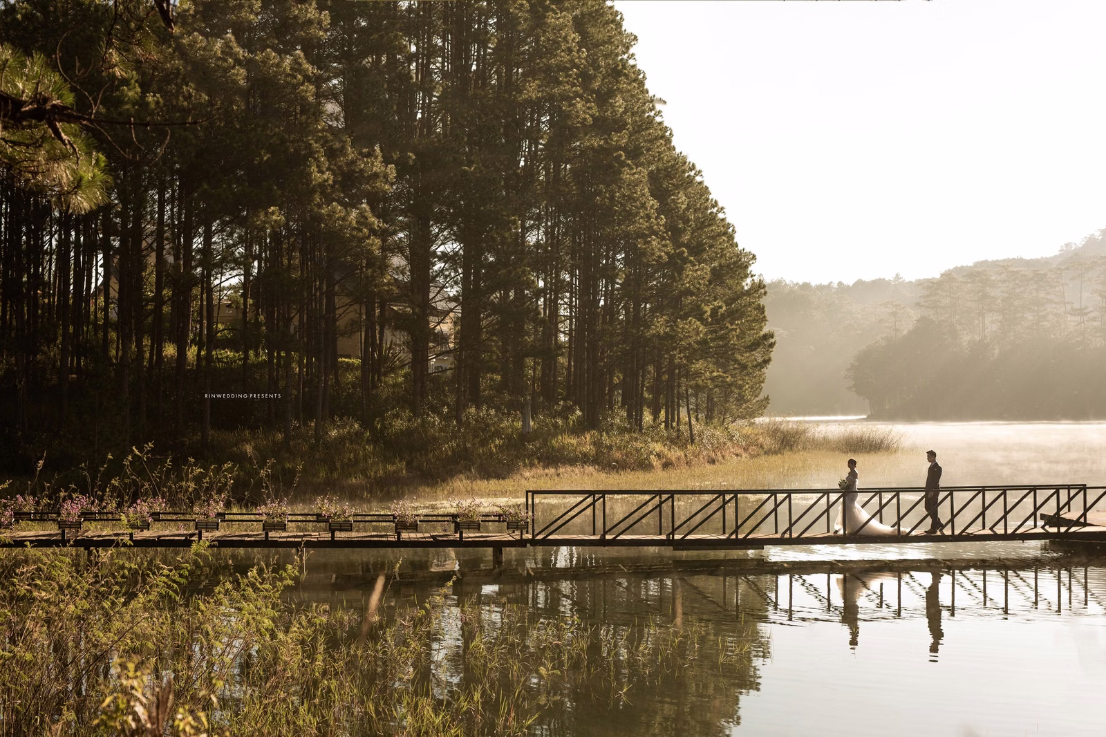 The bride and groom holding hands on a wooden bridge beside a lake and pine forest.