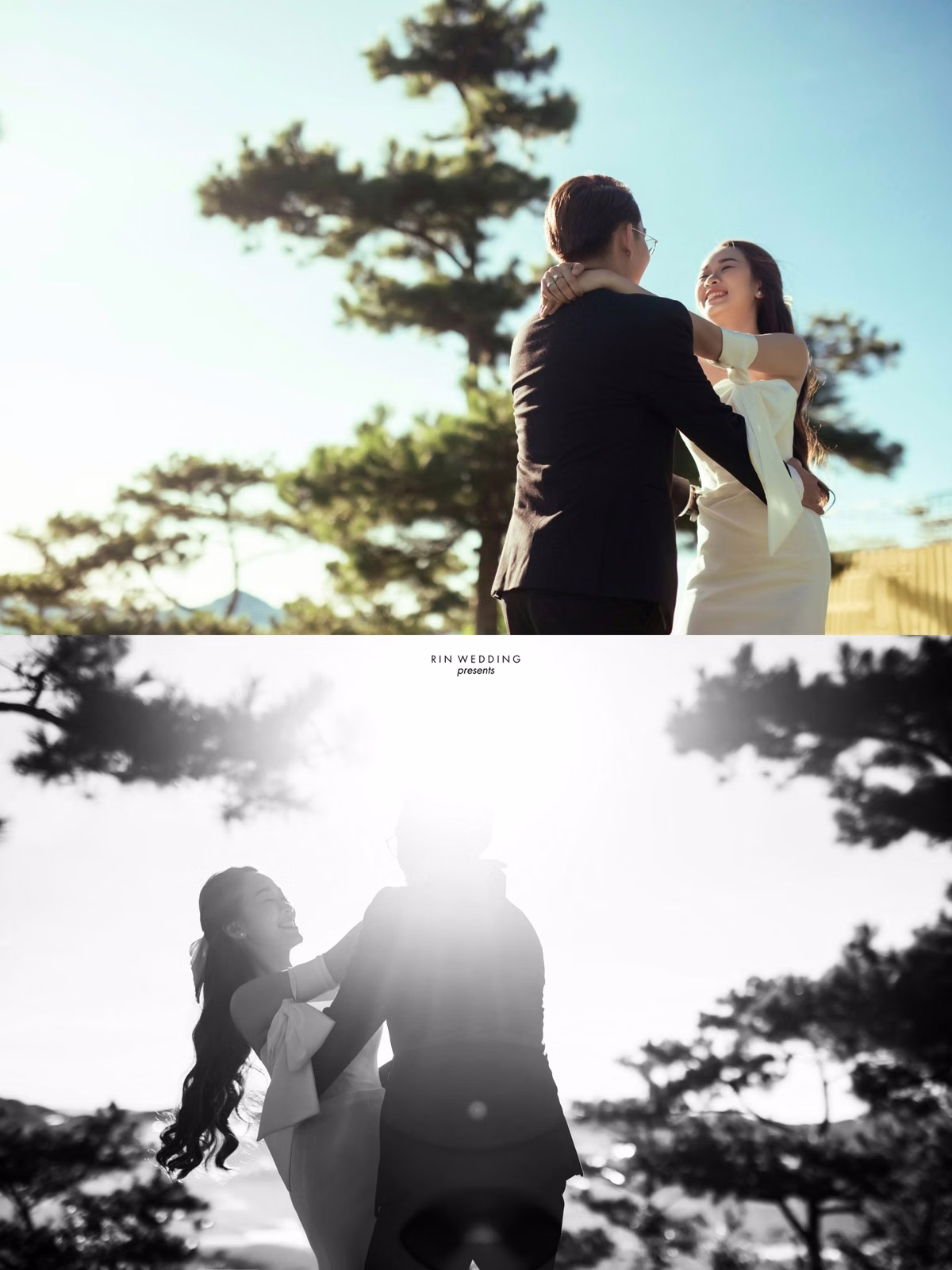 The couple holds hands and looks at each other beneath pine trees at Đồi Thông Đà Lạt