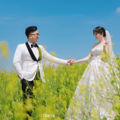 Cặp đôi nắm tay nhau giữa cánh đồng hoa vàng tại Hoa Trong Rừng, Đà Lạt