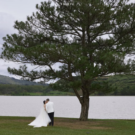 A couple embraces beneath a pine beside the lake at Cây Thông Cô Đơn, Đà Lạt