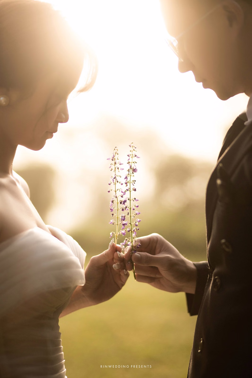 The bride and groom raising glasses in sunlight filtering through the garden.