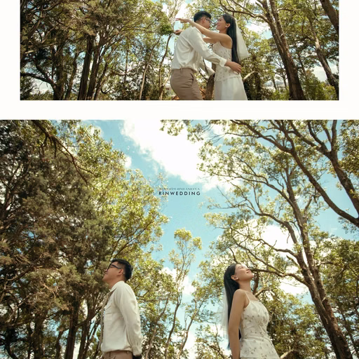 Photo collage of the couple among trees and blue skies at Dinh Tỉnh Trưởng.