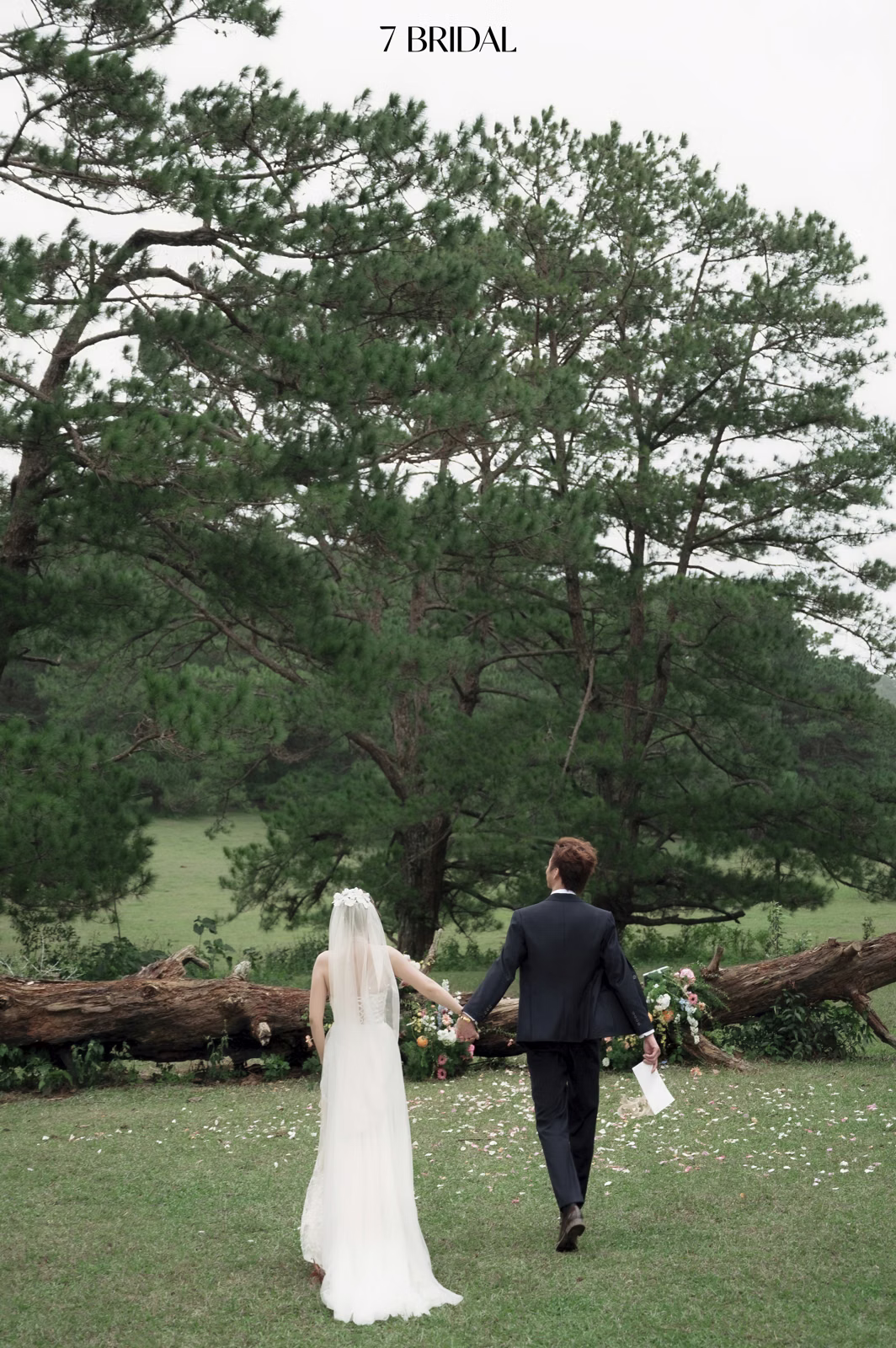 The couple with their backs to the camera, holding hands before a large pine tree at Đồi Trọc Da Lat