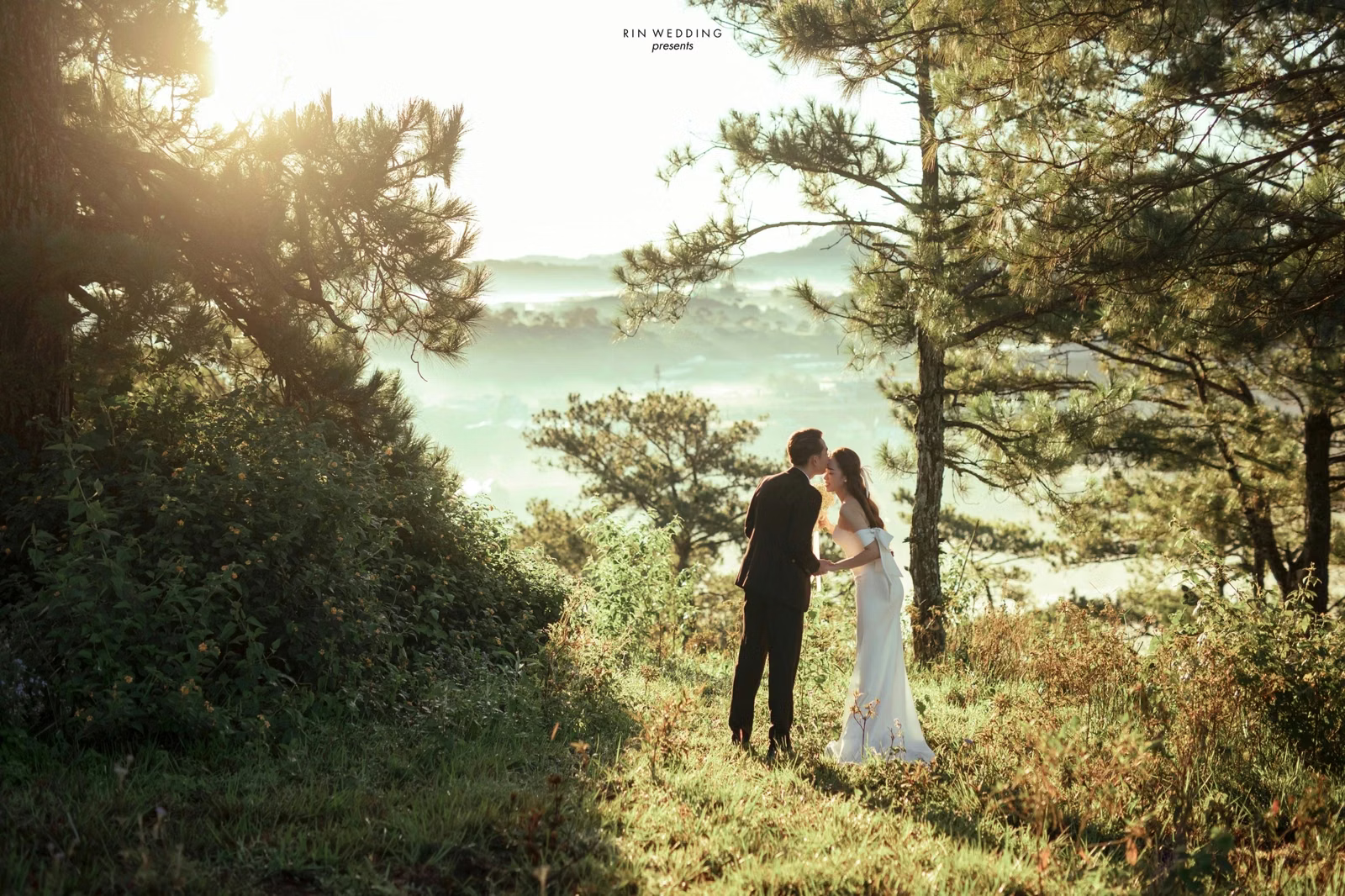 A couple embracing beneath a pine tree in afternoon light at Đồi Thông Đà Lạt