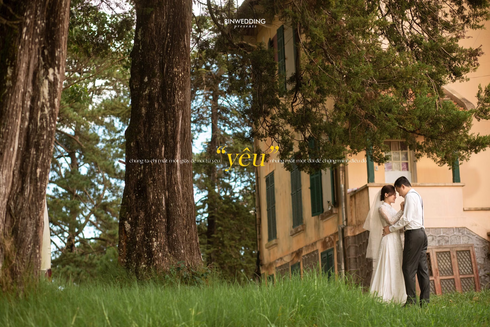 The bride and groom beside a large tree before Dinh Tỉnh Trưởng.