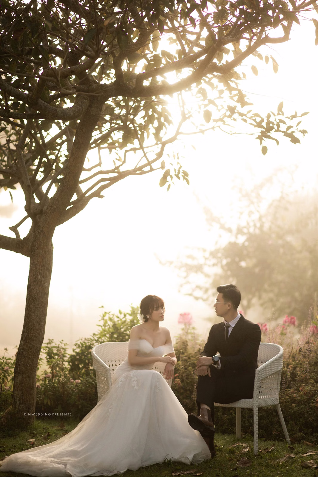 The bride and groom sit together in a sunlit garden.