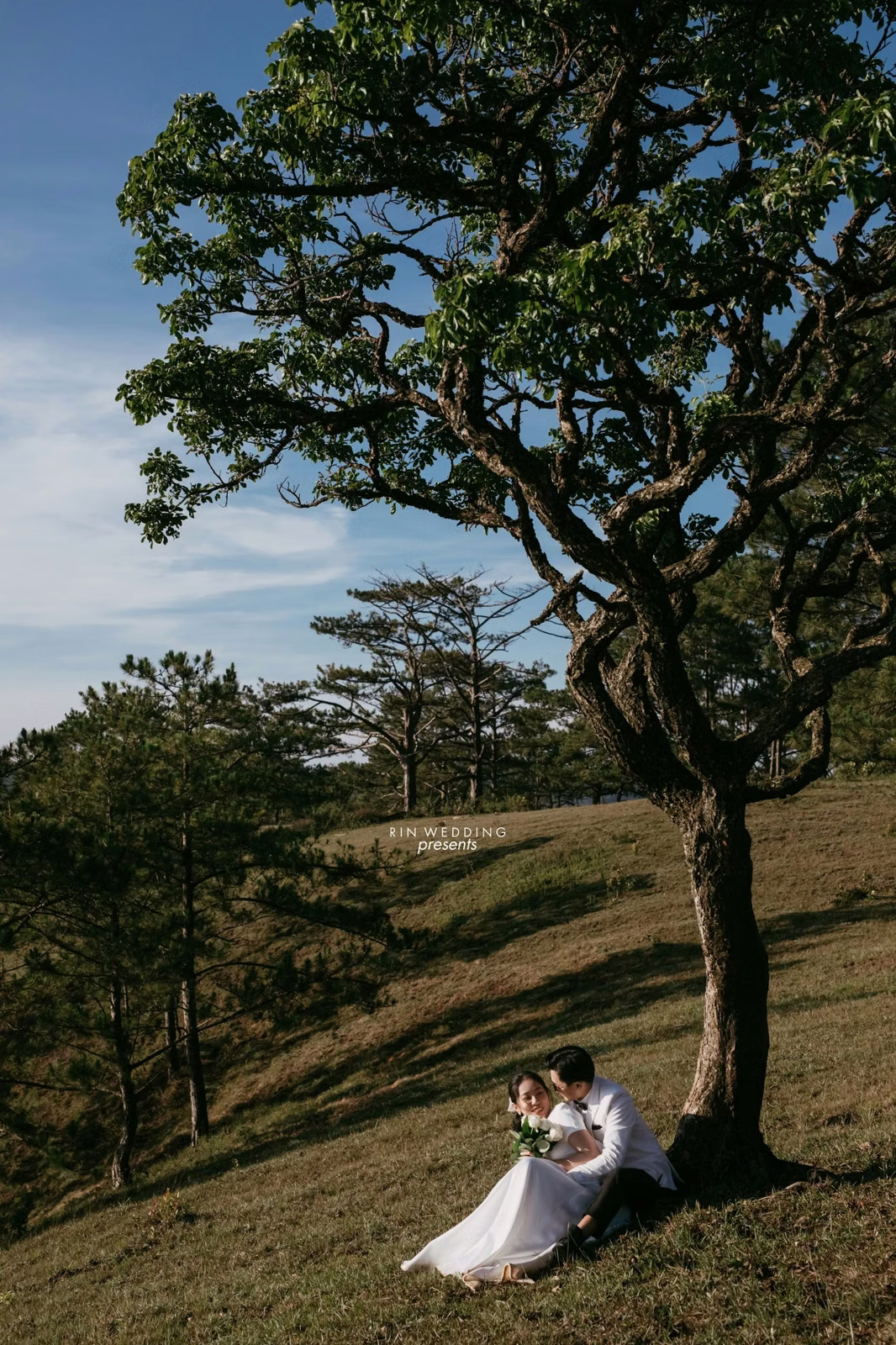 The couple sitting close at the base of a tree on a hill at Đồi Thông Da Lat